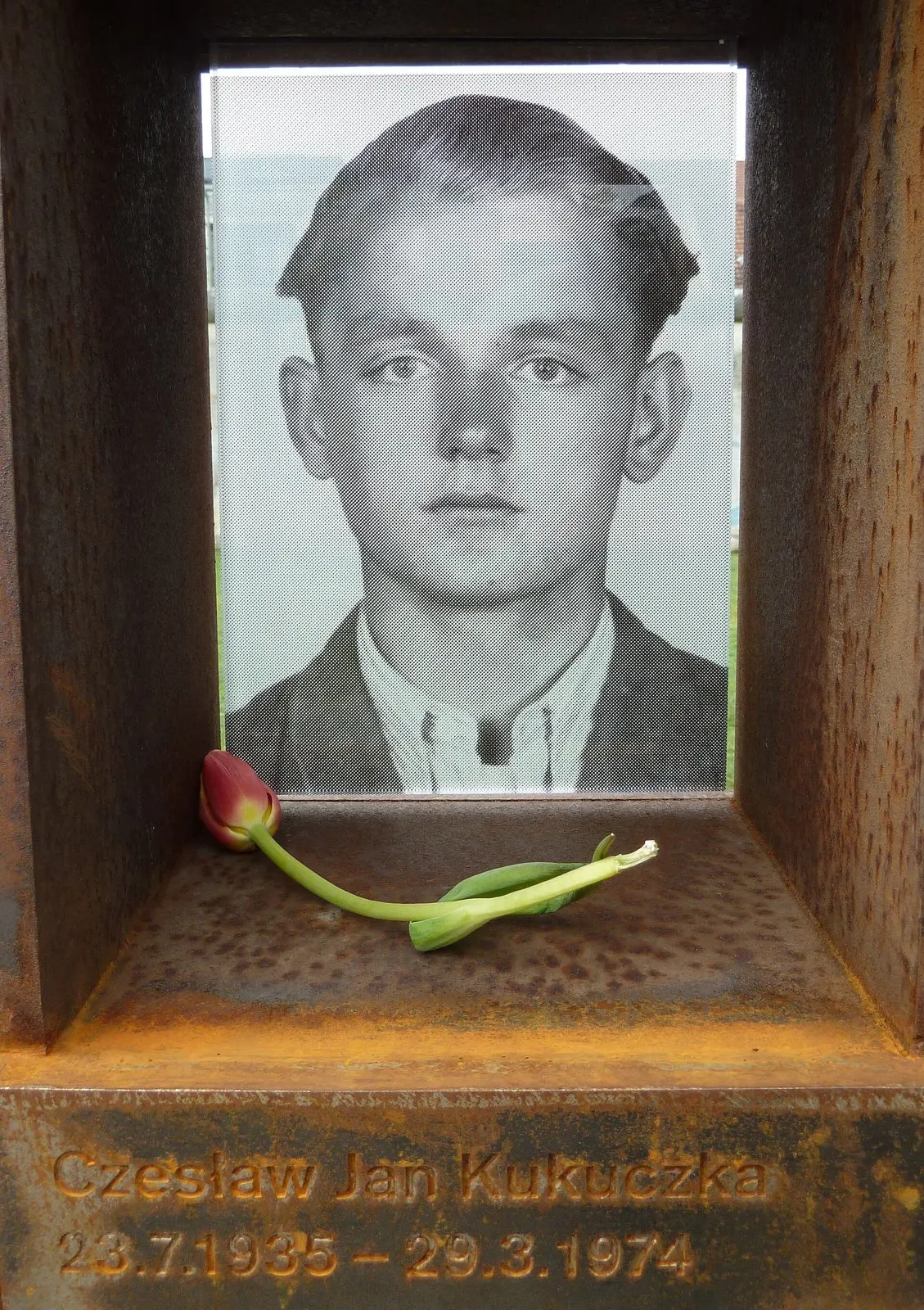 Black-and-white portrait of a young man in a jacket behind glass in a rusted steel niche, a red tulip lying below and the name and dates Czesław Jan Kukuczka 23.7.1935 – 29.3.1974 engraved beneath