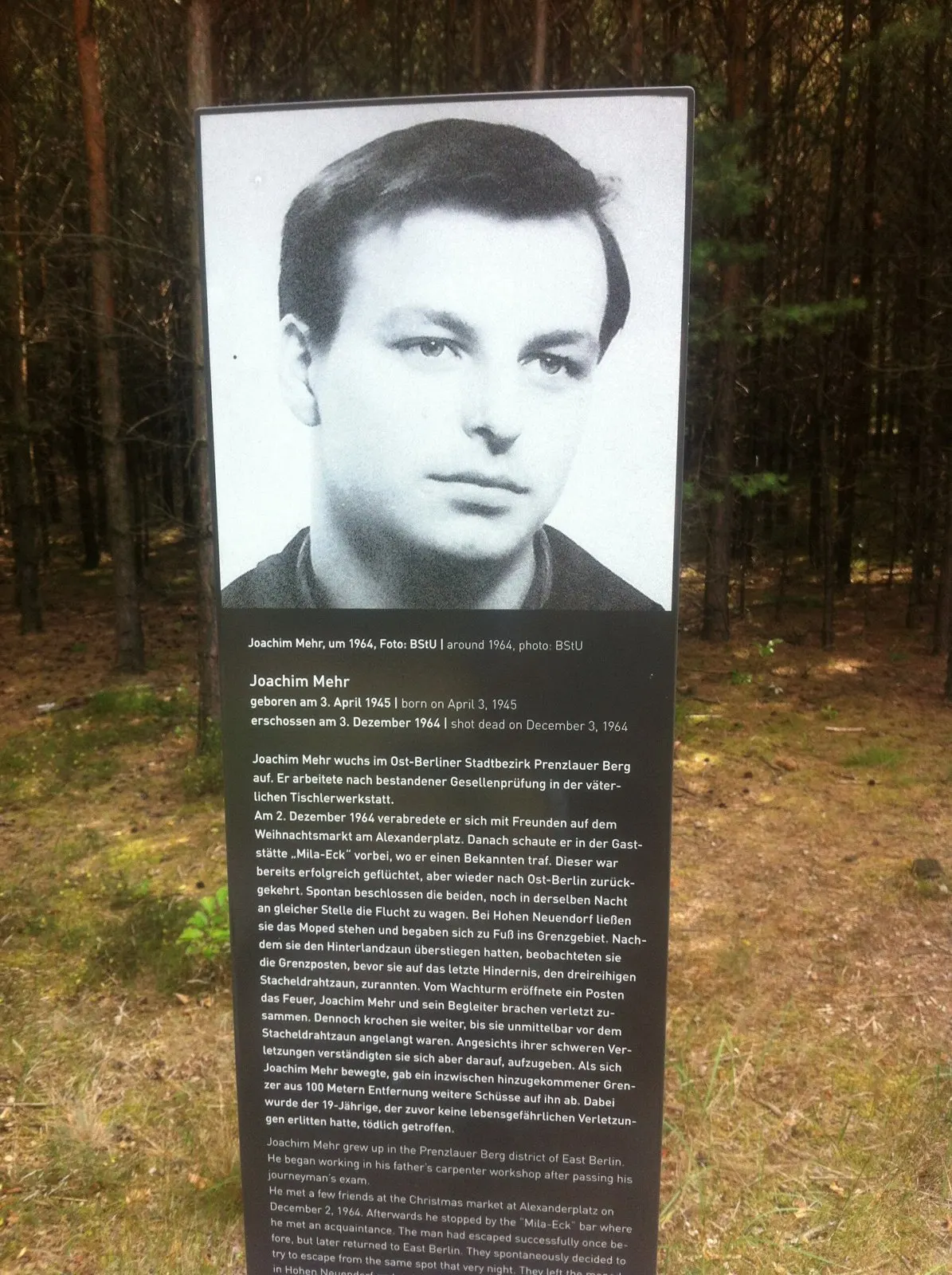 Dark stele with a black-and-white portrait of a young man above a German and English text headed 'Joachim Mehr', standing in a pine forest