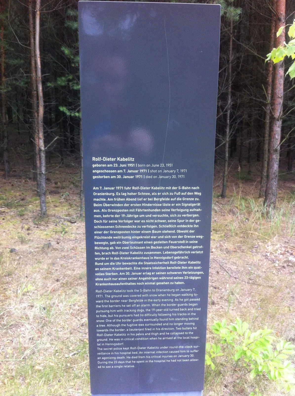 Dark memorial stele with printed German and English text standing in a pine forest