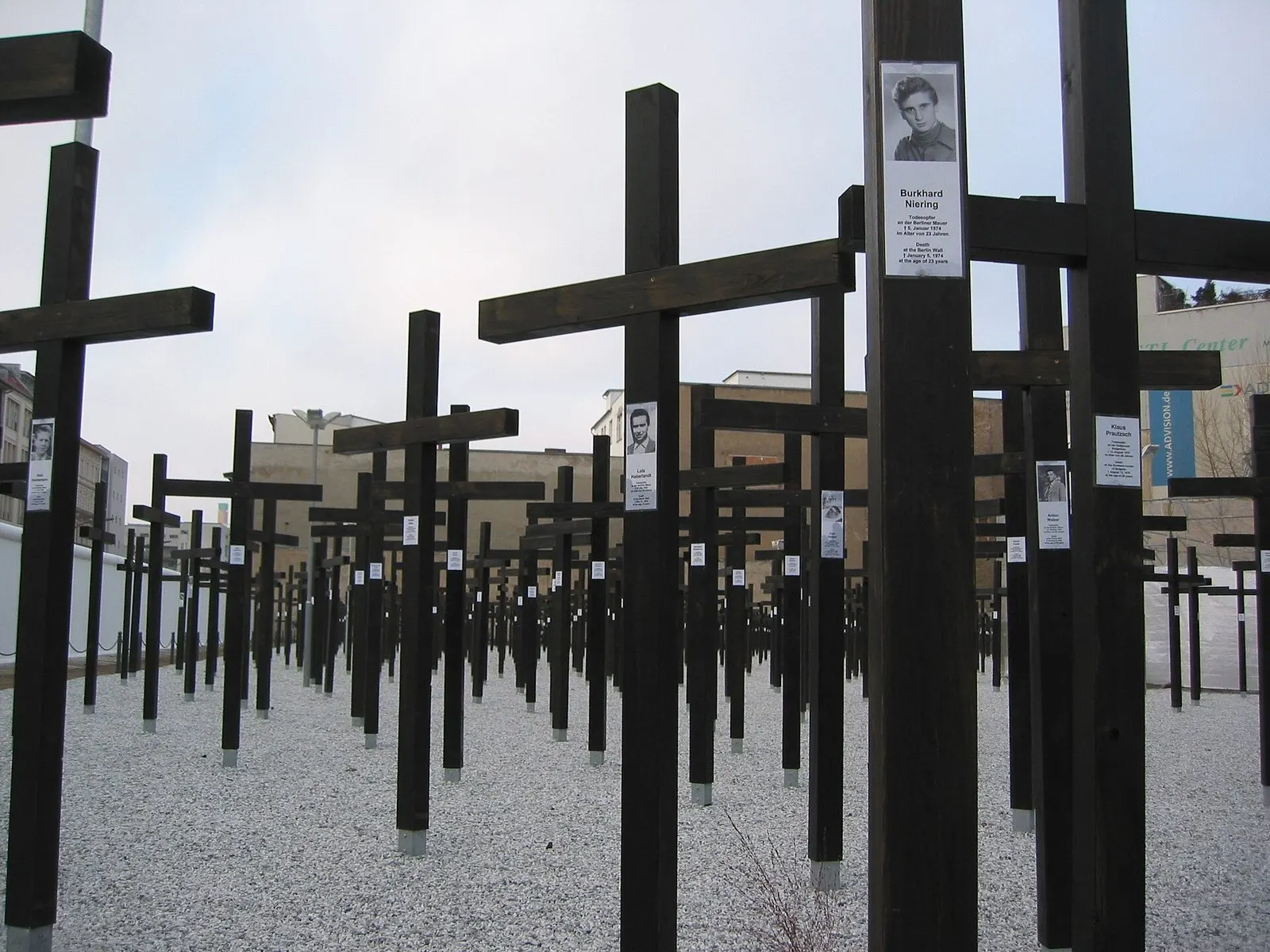 Rows of tall dark wooden crosses standing in white gravel under a pale sky; the nearest cross, right of centre, carries a black-and-white portrait of a young man and a label reading "Burkhard Niering, Todesopfer an der Berliner Mauer, 5. Januar 1974, im Alter von 23 Jahren", with an English translation.
