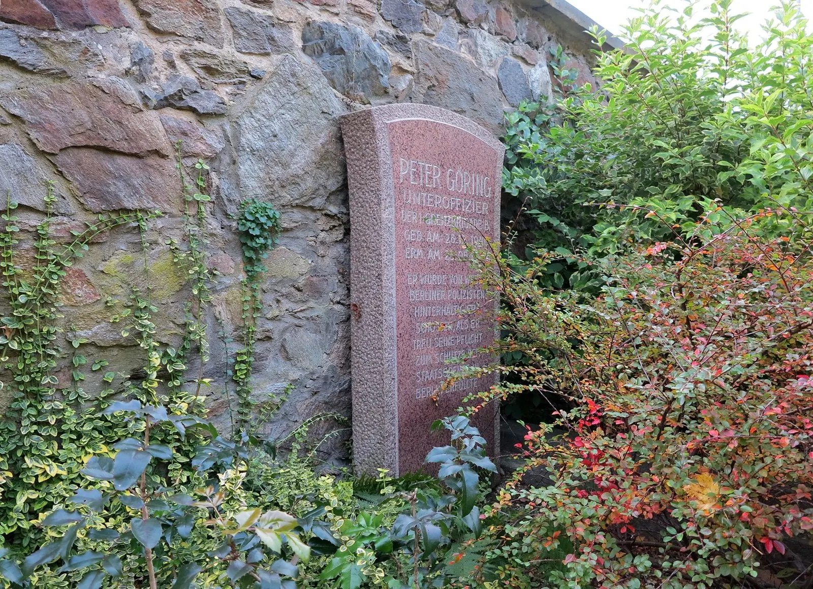 Reddish granite gravestone against a rough stone wall, framed by shrubs