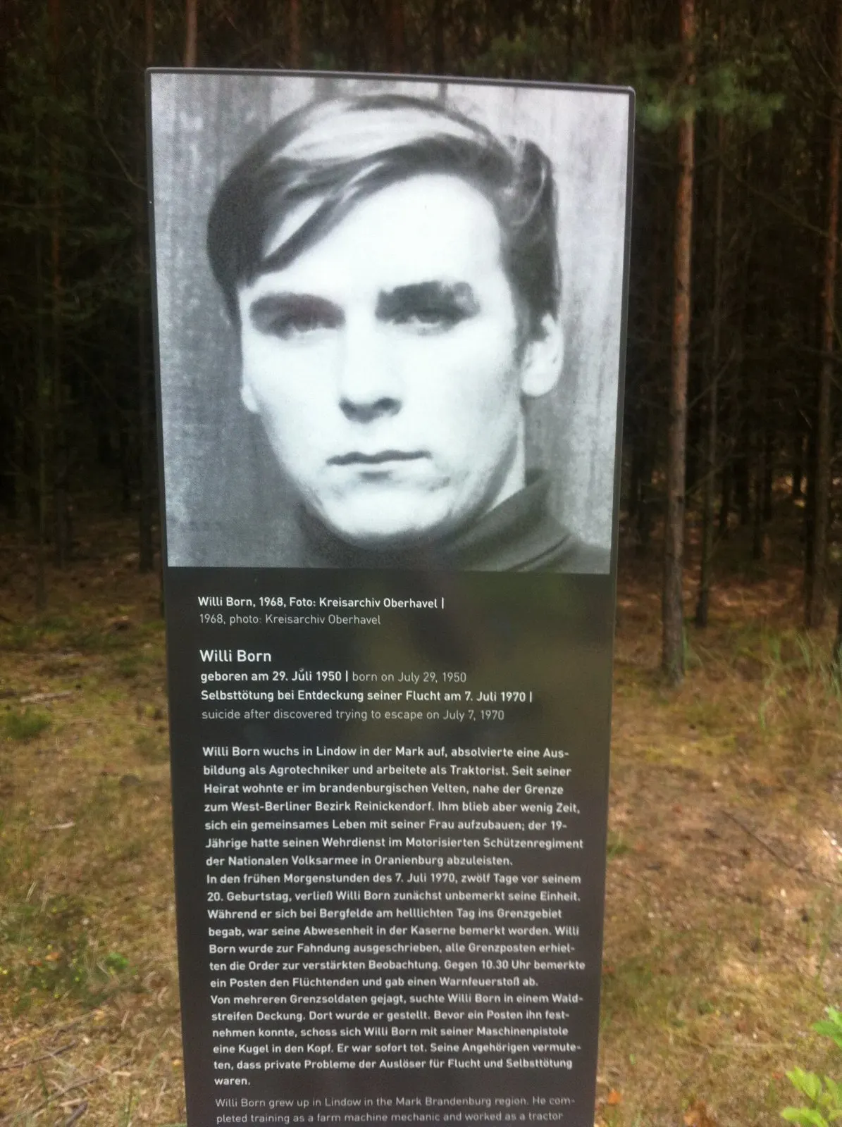 Dark memorial stele in a pine forest with a large black-and-white photograph of a young man with dark hair and printed text below