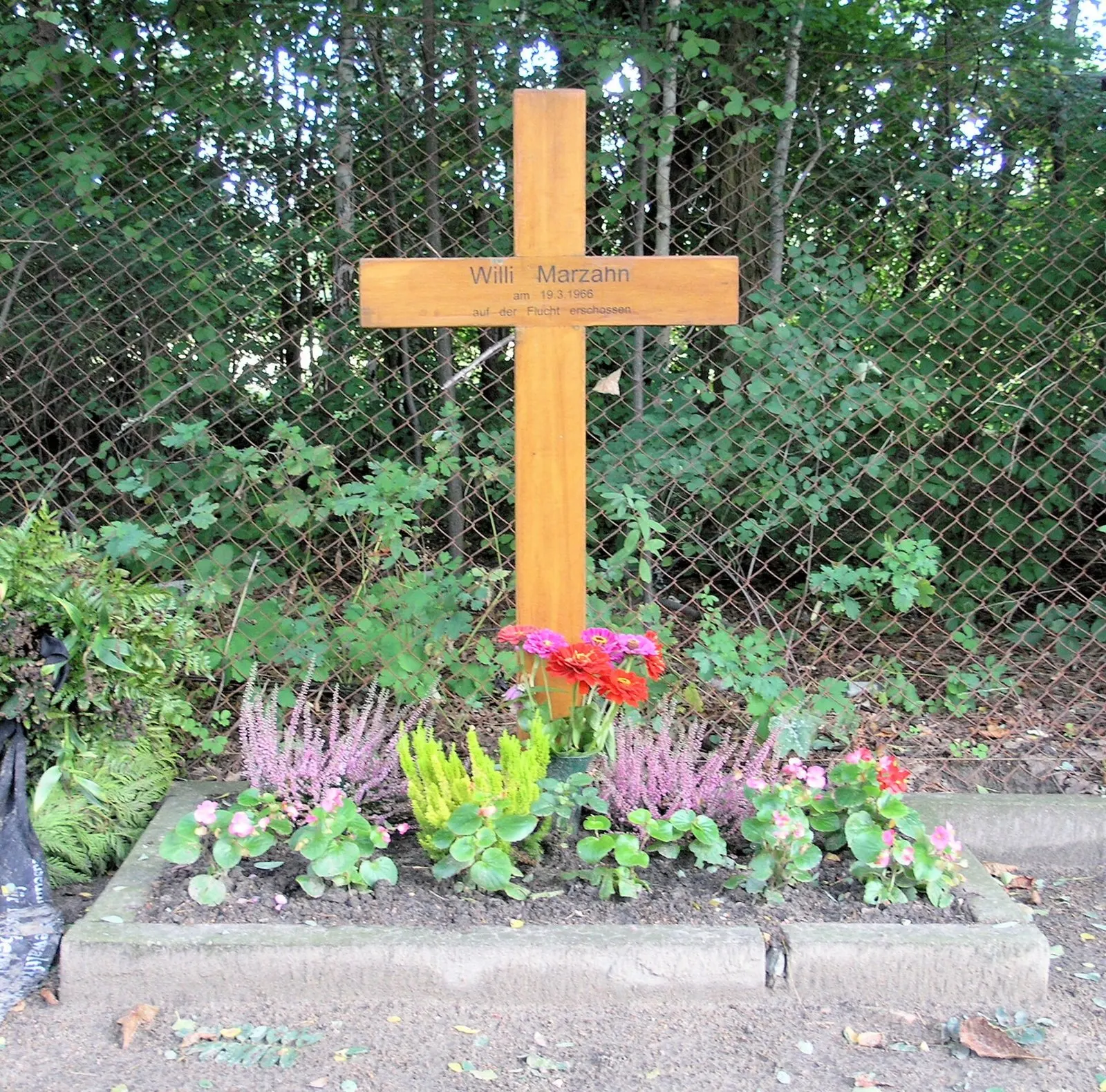 Light wooden cross inscribed "Willi Marzahn" above a flower bed with heather and flowers, in front of a wire fence and trees