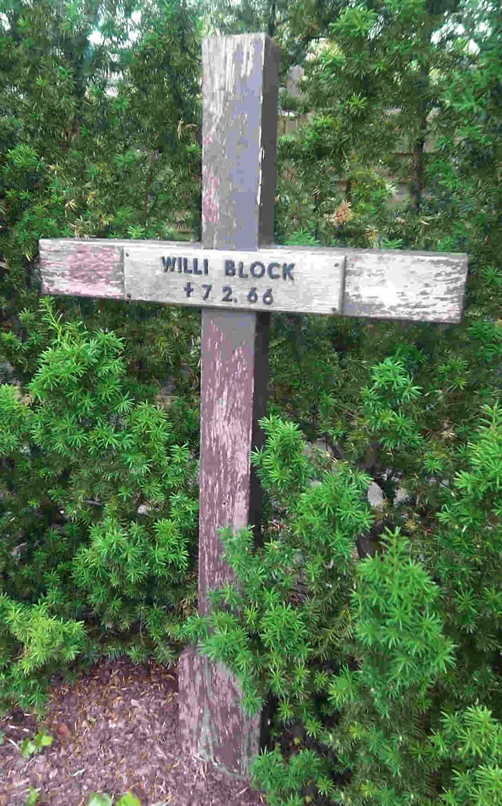 Weathered wooden cross with the inscription "Willi Block † 7.2.66" in front of green shrubs
