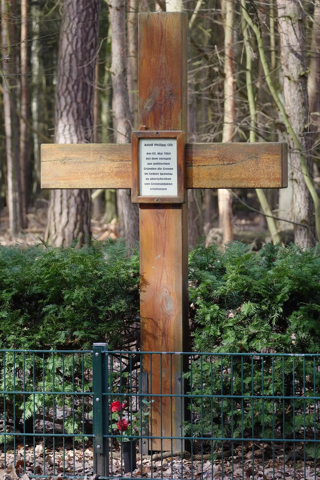 Plain wooden cross with a small framed plaque, behind a low green fence and yew bushes in a pine forest, red flowers at its foot