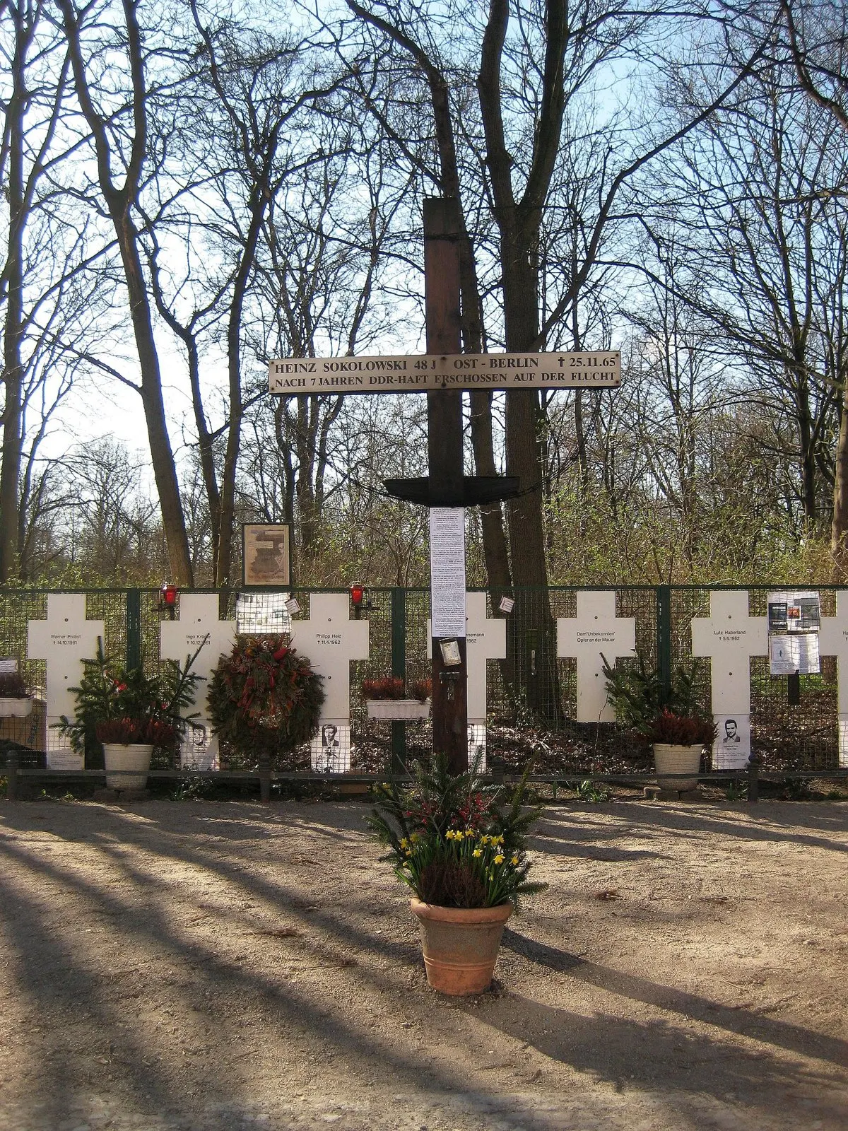 Tall wooden cross with a name sign in front of a row of white crosses on a fence, with a potted plant in the foreground and bare trees behind