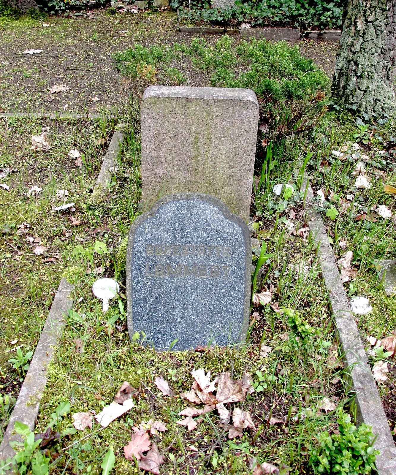Small grey stone grave marker with a faded inscription, in front of a taller weathered stone, amid grass and fallen leaves