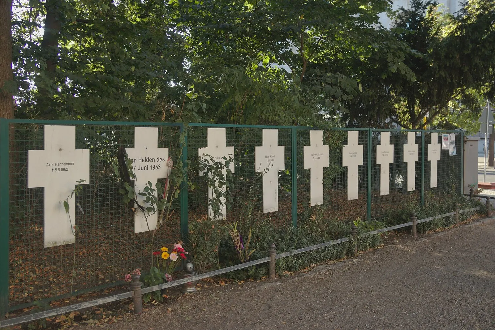 A row of white wooden crosses fixed to a green mesh fence under dense trees; most carry a name and date of death, one reads "Den Helden des 17. Juni 1953". Flowers and low shrubs grow along the foot of the fence beside a path.